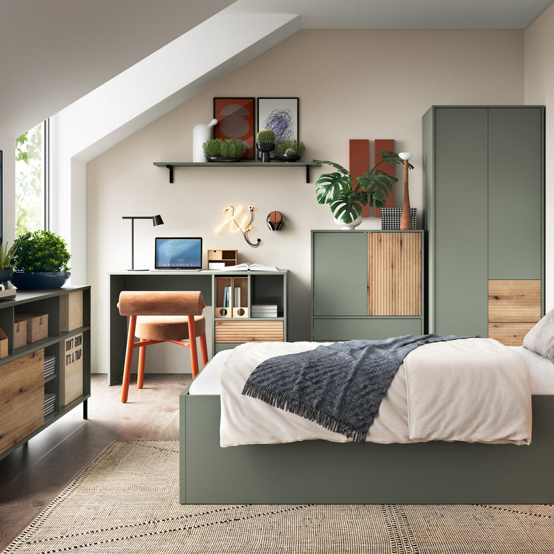 Darwin Sideboard 2 Door 2 Drawer in Green/Oak — detail view
