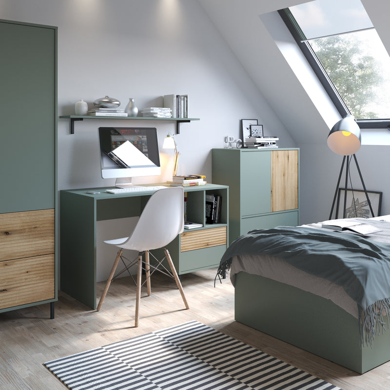 Darwin Sideboard 2 Door 2 Drawer in Green/Oak — alternative angle