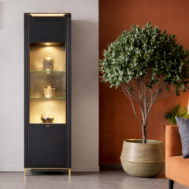 Genoa Vitrin 1 Door in Black Matt/Gold — view 3l