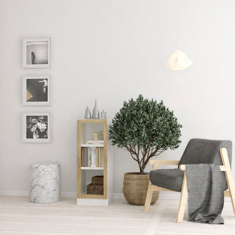 Basic Low Narrow Display Cabinet in White (2 Shelves) with Glass Oak Door — view 3l