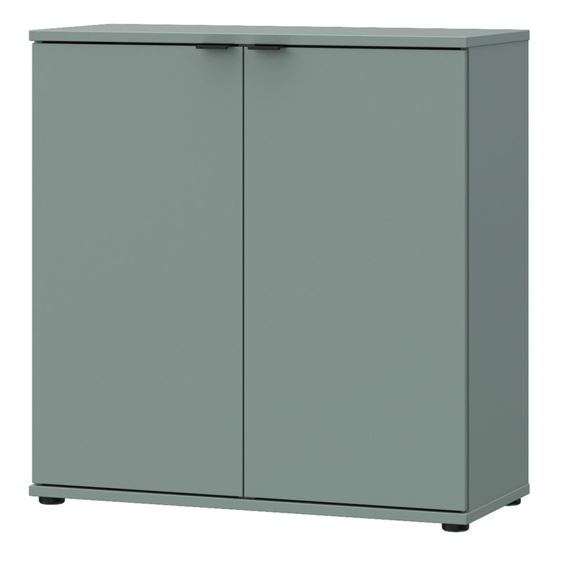 Ganymede 2 Door Cupboard in Sage Green — detail view