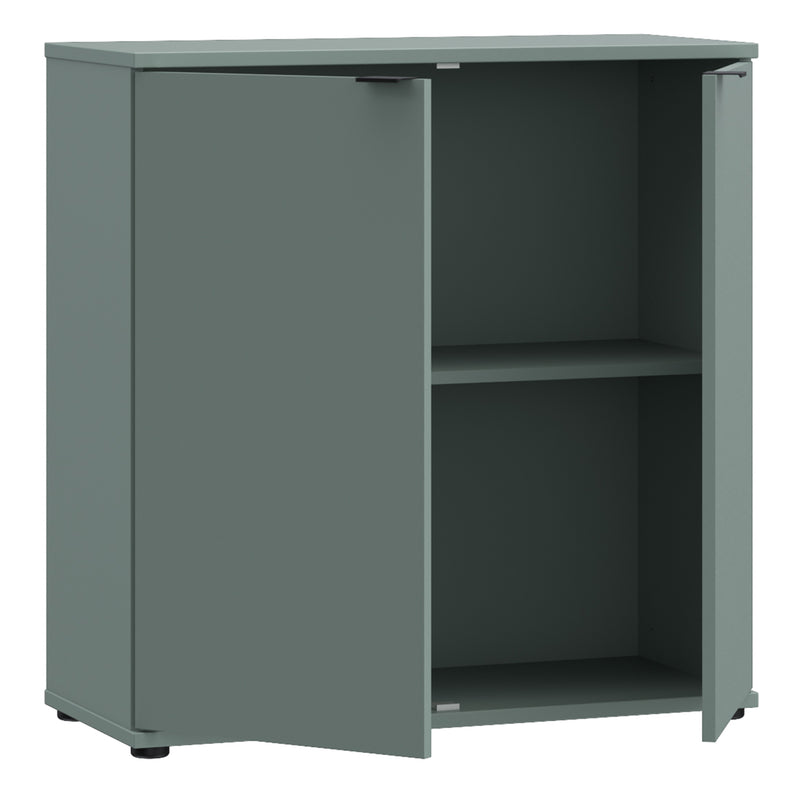 Ganymede 2 Door Cupboard in Sage Green — alternative angle